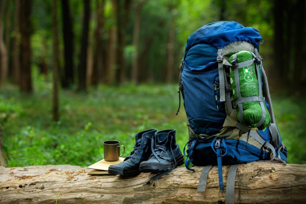 sport-shoes-backpack-color-blue-timber-forest[1]